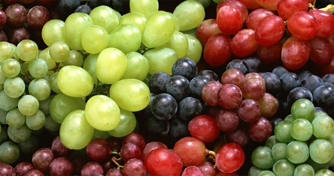 ig-international-exporting-grapes-europe