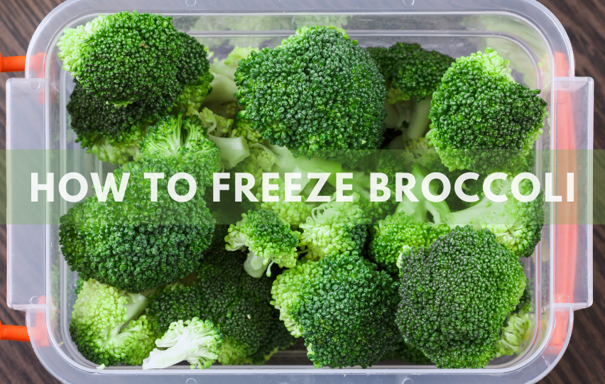 How to Freeze Broccoli More Practicality for Day to Day Use